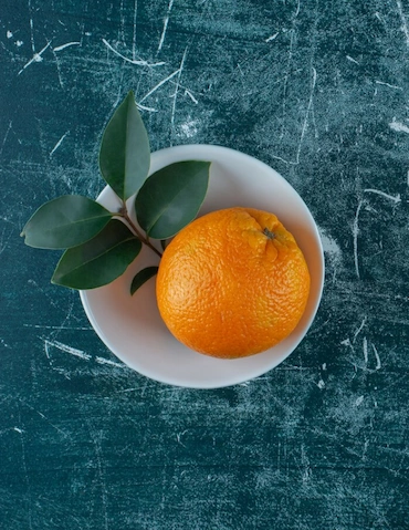 Разработка сайта и рекламная кампания для произвдителя промышленного холодильного оборудования